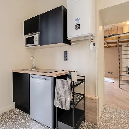 Le Poudre Cours Fauriel Magnifique Appartement Saint-Etienne  Buitenkant foto