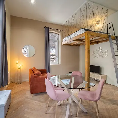 Le Poudre Cours Fauriel Magnifique Appartement Saint-Etienne  Buitenkant foto