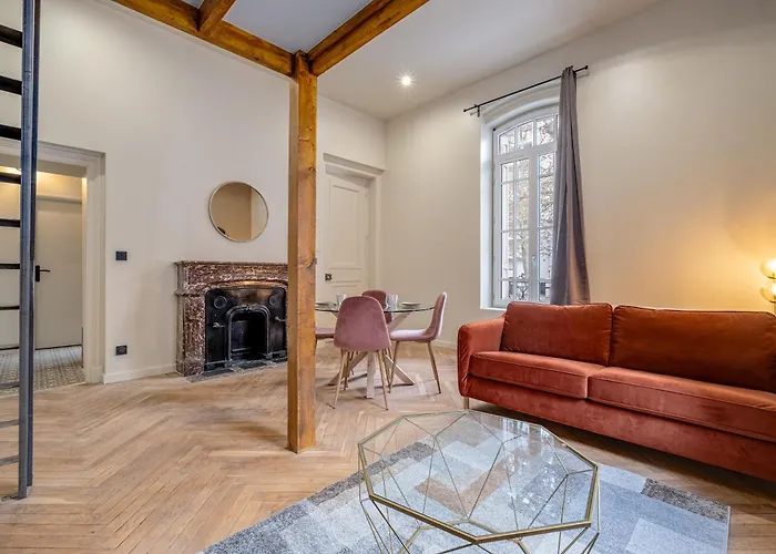 Le Poudre Cours Fauriel Magnifique Appartement