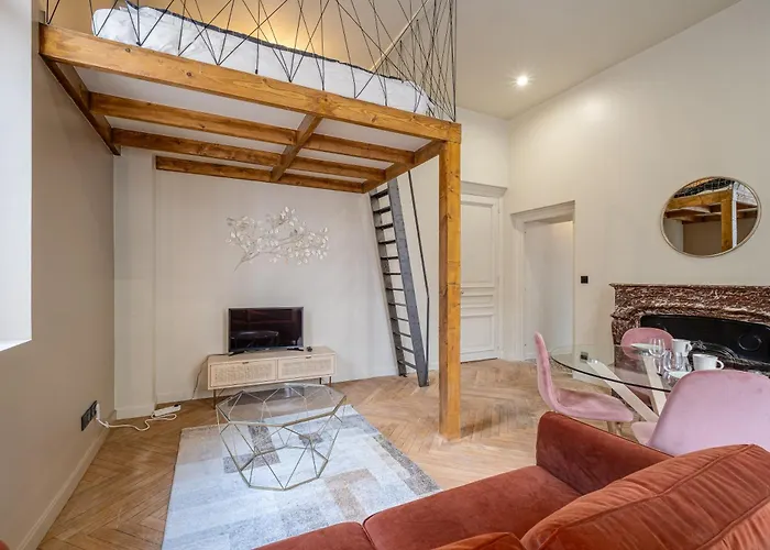 Le Poudre Cours Fauriel Magnifique Appartement